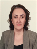 Dr. Öğr. Üyesi HÜLYA GÜNDEŞLİ
