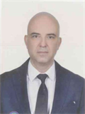Prof. Dr. MEHMET TİMUR SELÇUK