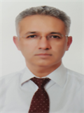 Prof. Dr. ALİ ALAGÖZ