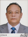Dr. Öğr. Üyesi ŞÜKRÜ HAKAN GÜNDÜZ