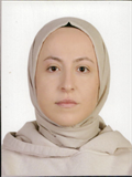 Arş. Gör. ELİF ASLAN