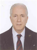 Prof. Dr. MEHMET KEŞKEK