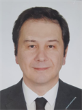 Prof. Dr. BARIŞ ZÜLFİKAROĞLU