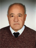 Prof. Dr. GÜRSES ŞAHİN