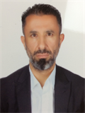 Prof. Dr. BÜLENT ALİOĞLU