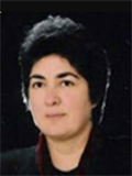 Doç. Dr. GÜLTEN SUNGUR