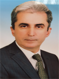 Prof. Dr. ERDAL BİROL BOSTANCI