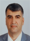 Prof. Dr. MEHMET GÜLÜM