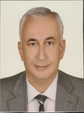 Prof. Dr. İSMAİL YAŞAR AVCI