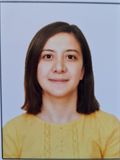Dr. Öğr. Üyesi ELİF AKÇAY