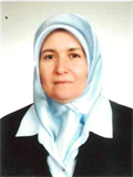 Prof. Dr. TÜLAY TEKDEMİR TİFTİK