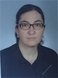 Prof. Dr. AYSUN AYBAL KUTLUGÜN