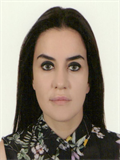 Prof. Dr. DAMLA ERGİNTÜRK ACAR
