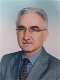 Prof. Dr. ÖNER ODABAŞ