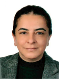 Doç. Dr. SEVİL UYGUN İLİKHAN