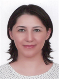 Dr. Öğr. Üyesi AYŞEGÜL YAMAN